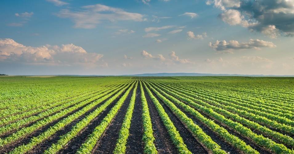 Fondation Saint Matthieu pour l’Enseignement Agricole